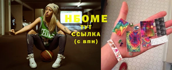 apvp Иннополис