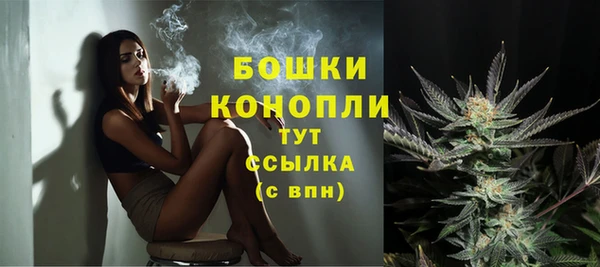 амф Инсар
