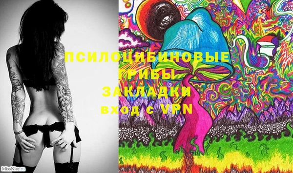 стафф Билибино