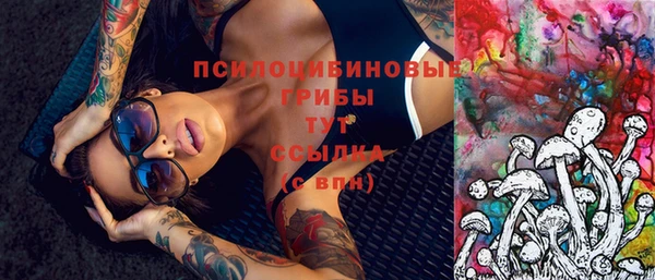 бошки Нея