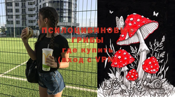 марихуана Гусиноозёрск