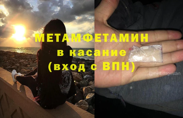 индика Бикин