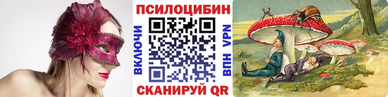 Галлюциногенные грибы Psilocybine cubensis  как найти закладки  Черногорск 
