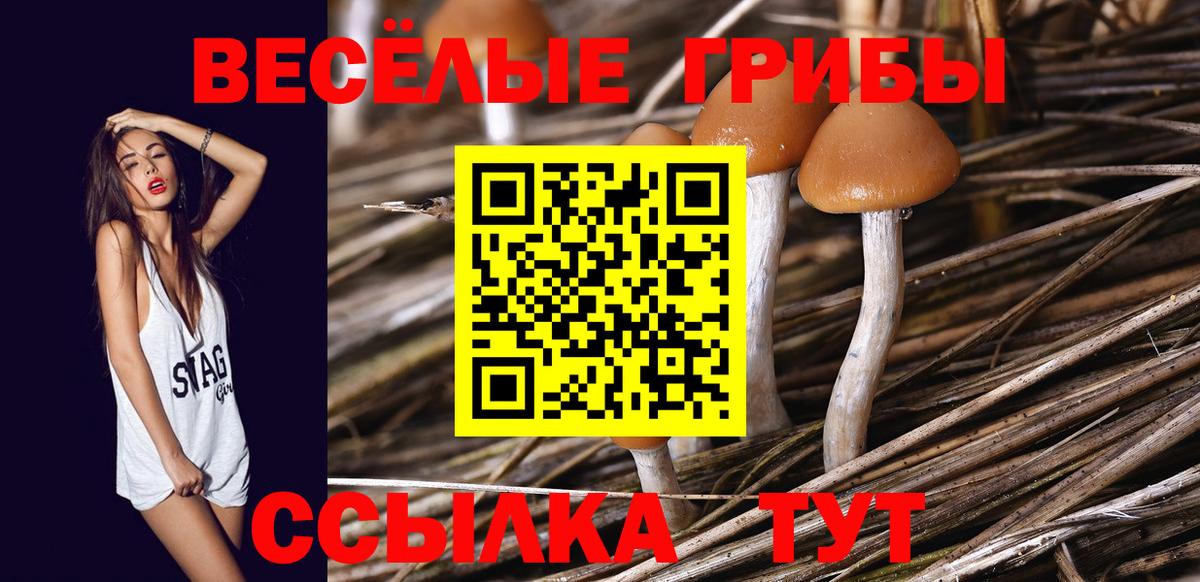 A PVP Черногорск