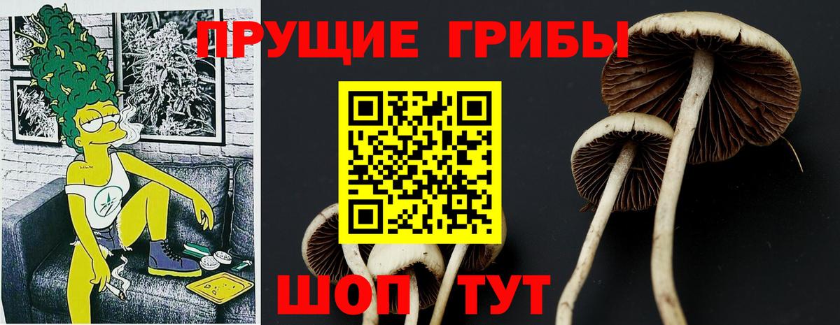 Псилоцибиновые грибы мухоморы Черногорск