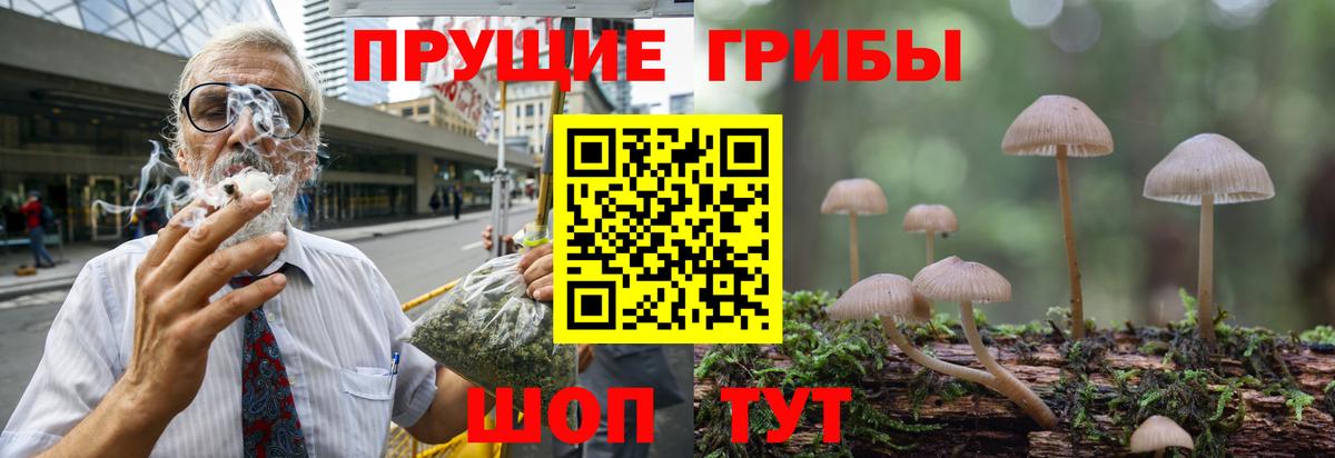 Псилоцибиновые грибы ЛСД  Псилоцибиновые грибы GOLDEN TEACHER  Черногорск  дарнет шоп  Вход с VPN 